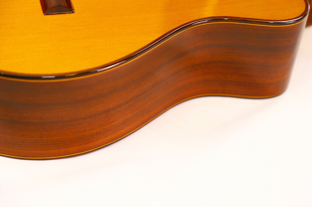 Jose Ramirez 1A 1989 Cutaway