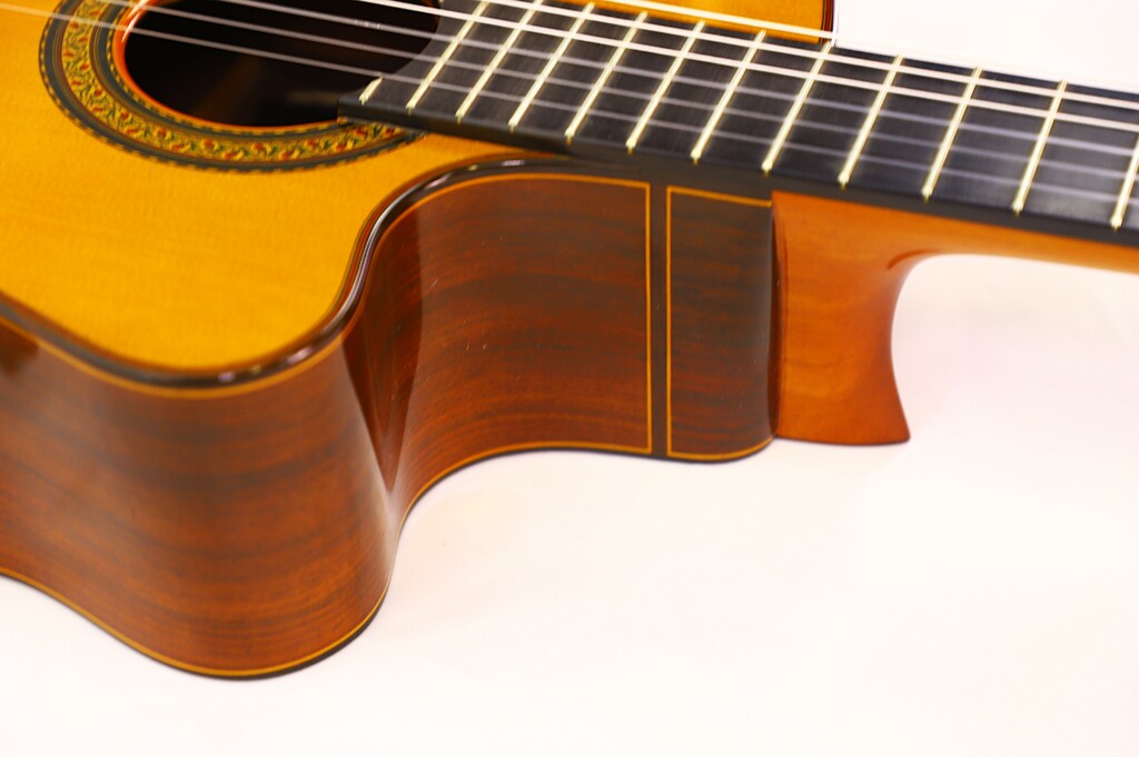 Jose Ramirez 1A 1989 Cutaway