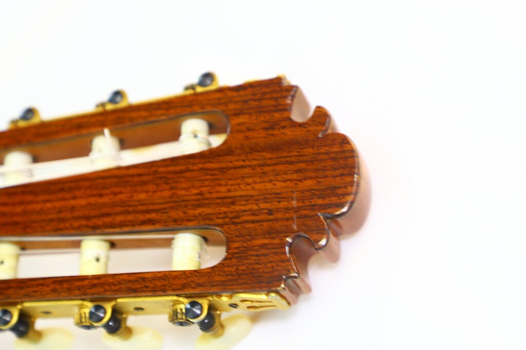 Juan Antonio Sabate Flamenco Guitar