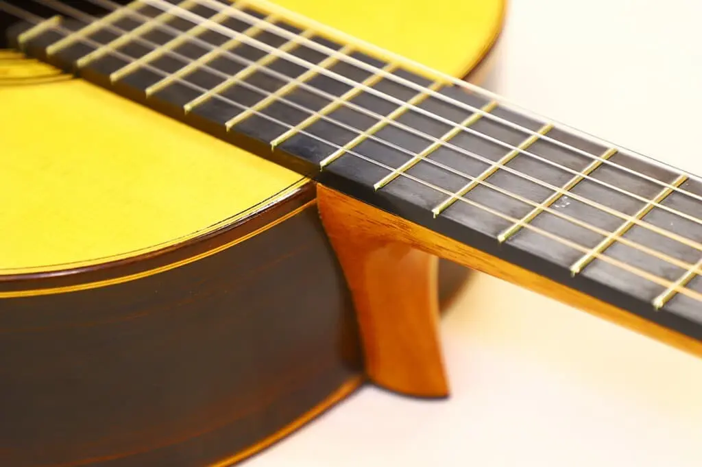 Carlos Juan Busquiel 2010