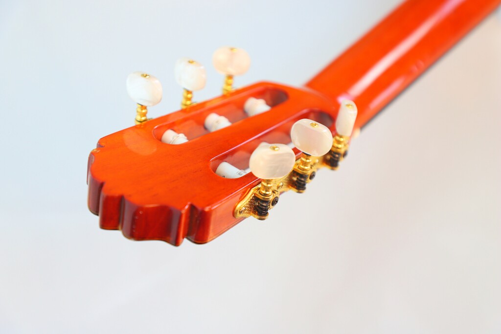 Amalio Burguet 1Fb 2008