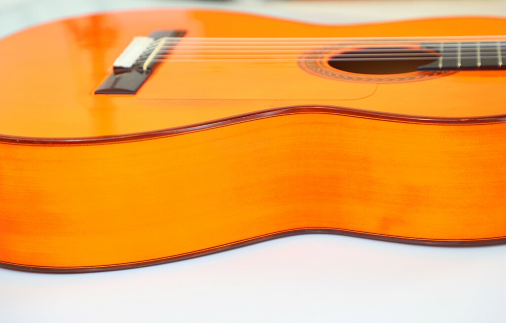 Amalio Burguet 1Fb 2008