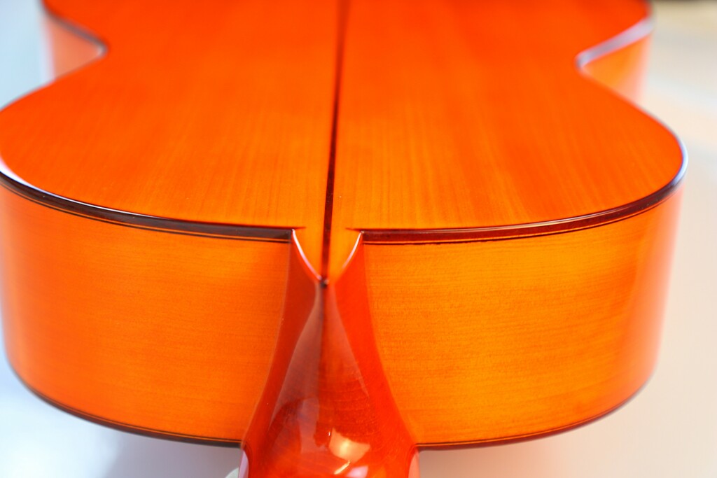 Amalio Burguet 1Fb 2008