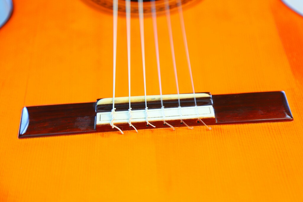 Amalio Burguet 1Fb 2008