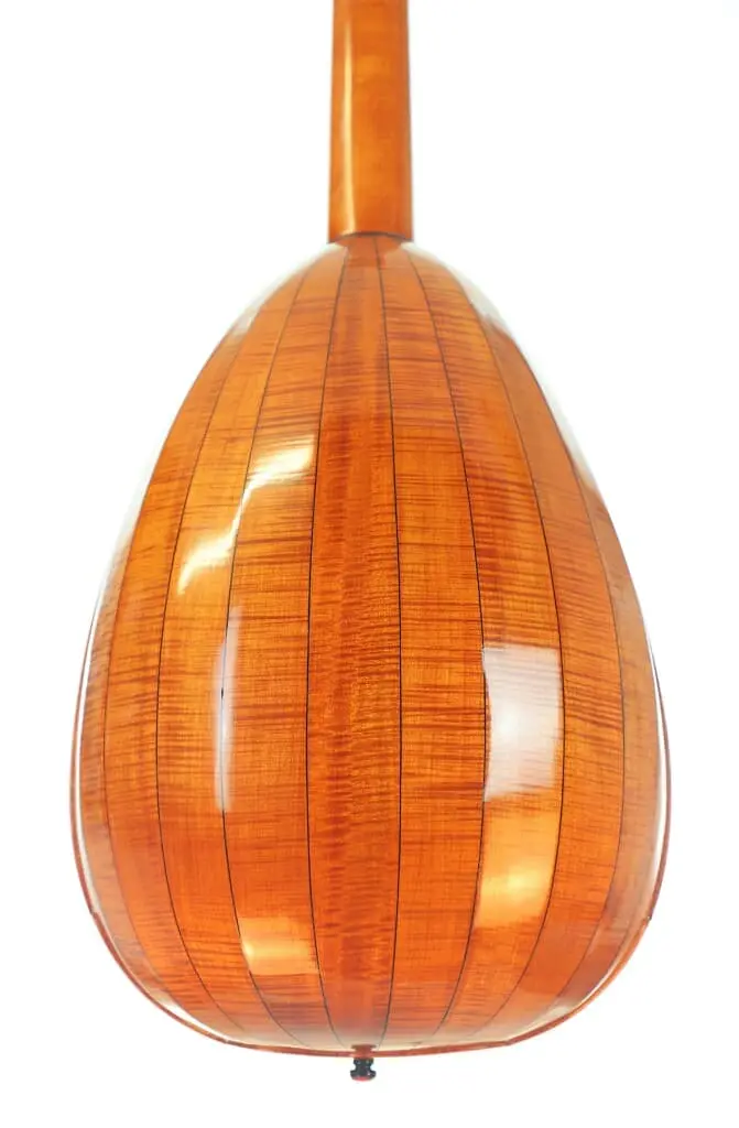 Helmut Neubauer 1972 Guitar Lute