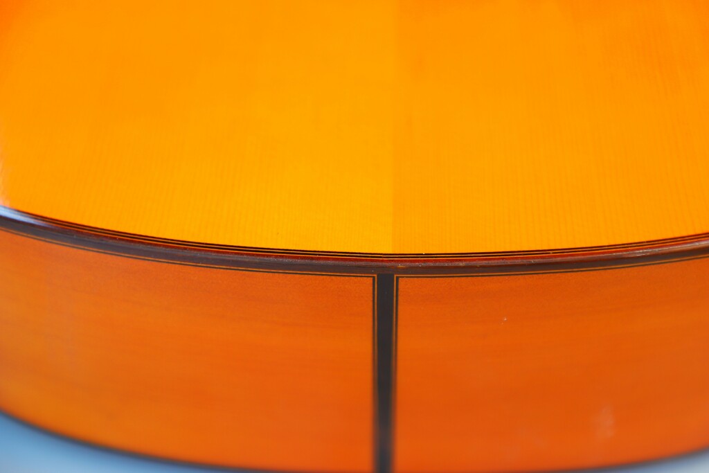 Amalio Burguet 1Fb 2008