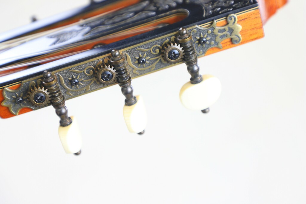 Michael Wichmann &Quot;Simplicio&Quot;