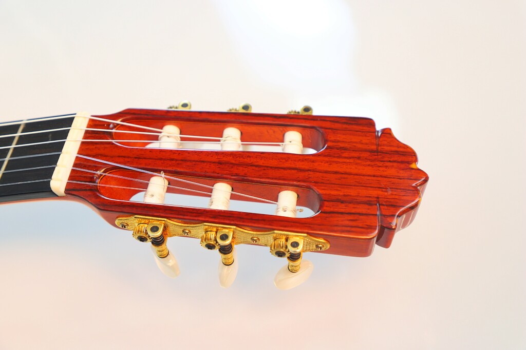 Amalio Burguet 1Fb 2008