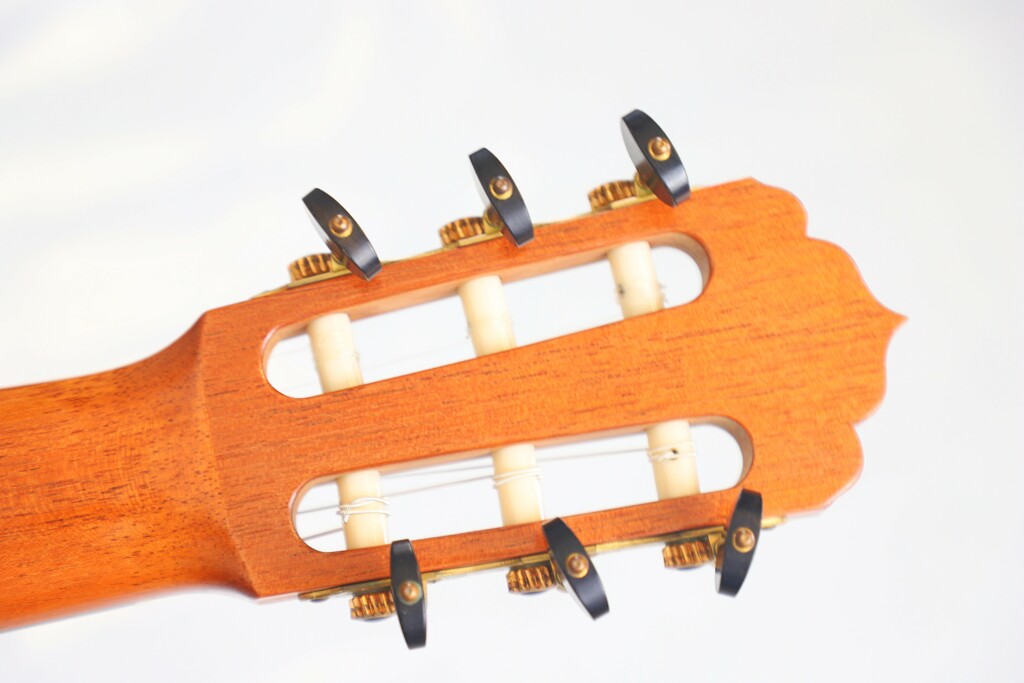 Carlos Juan Busquiel 2020