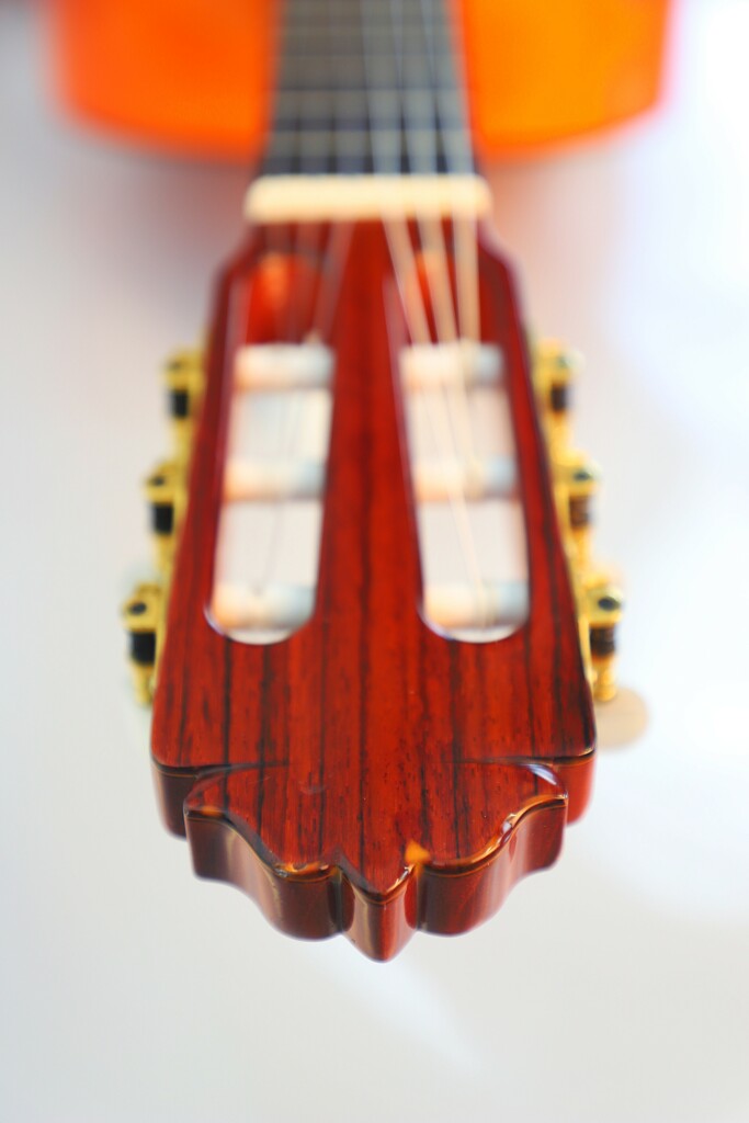 Amalio Burguet 1Fb 2008