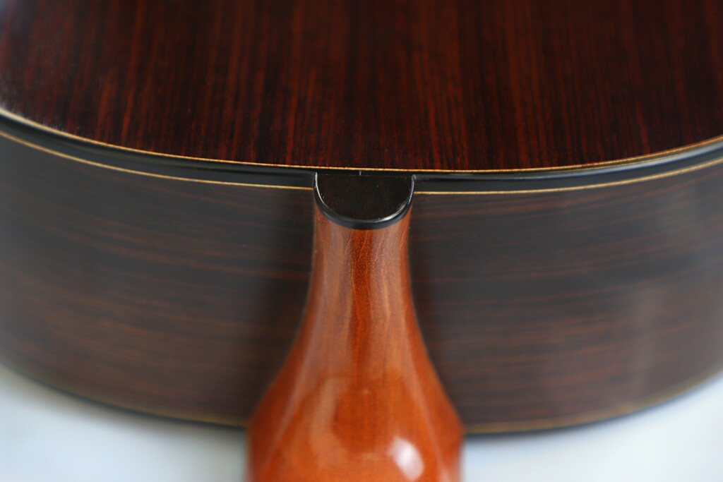 Carlos Juan Busquiel 2020