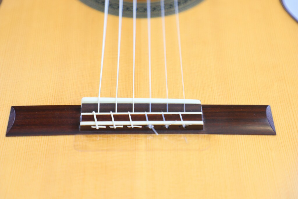 Carlos Juan Busquiel 2020