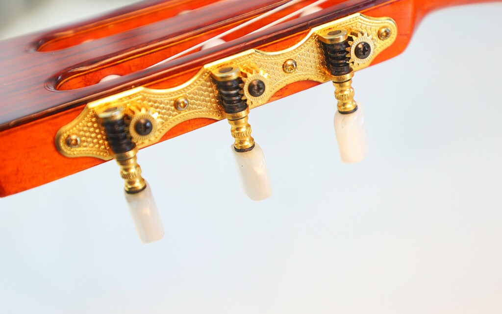 Amalio Burguet 1Fb 2008