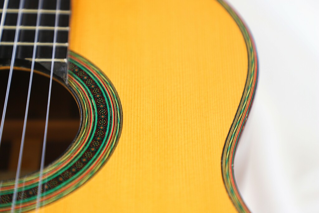 Michael Wichmann &Quot;Simplicio&Quot;