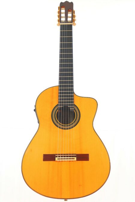 Pedro de Miguel 7-string 2000