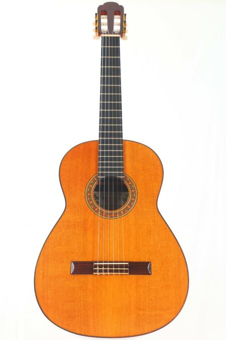A Vicente Sanchis Torres Model Classical Guitar with a wooden body, six strings, decorative rosette, and tuning pegs is shown against a plain white background.