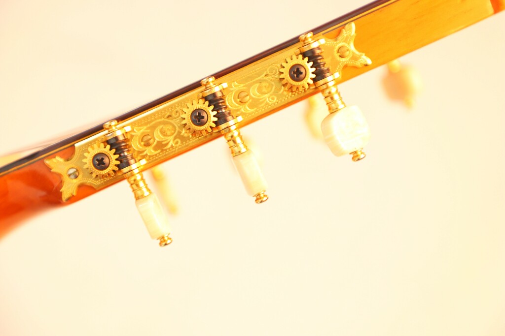 Pedro De Miguel 7-Saitig 2000 – Bild 9