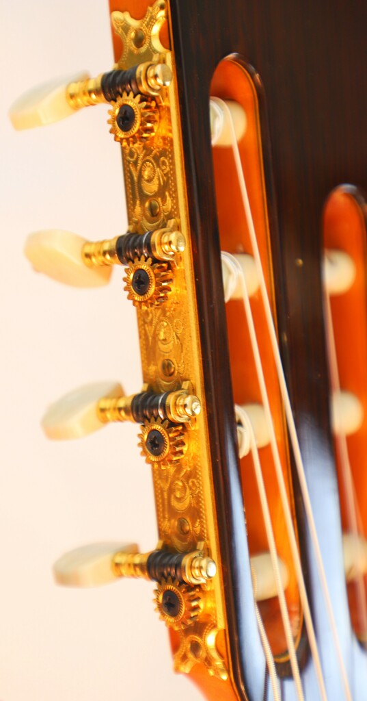 Pedro De Miguel 7-Saitig 2000 – Bild 10