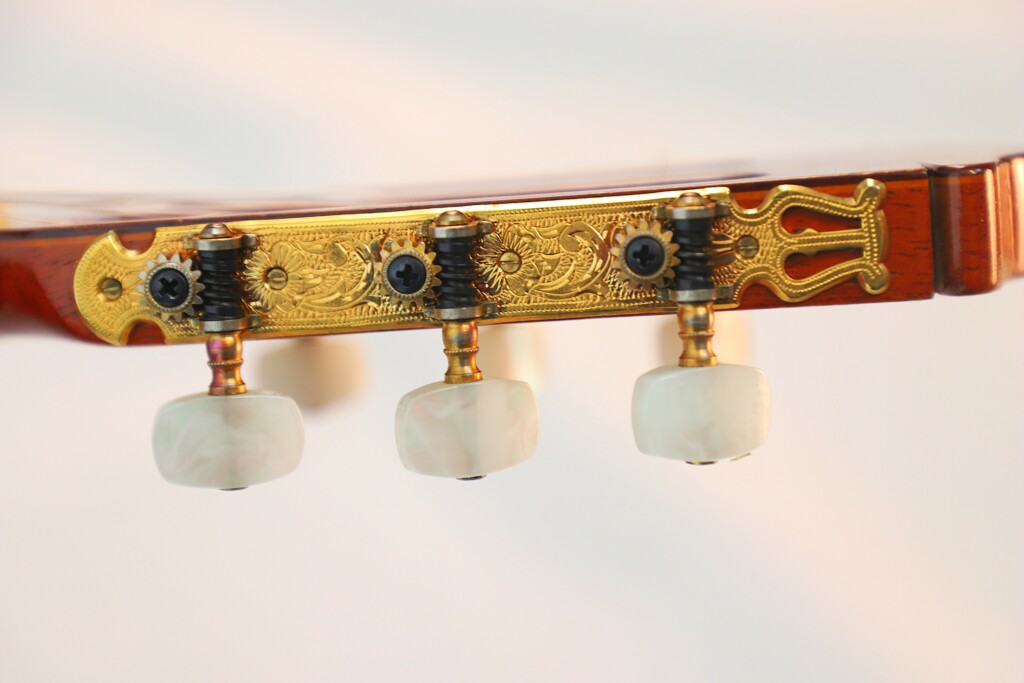 Luis Arostegui Granados 1976