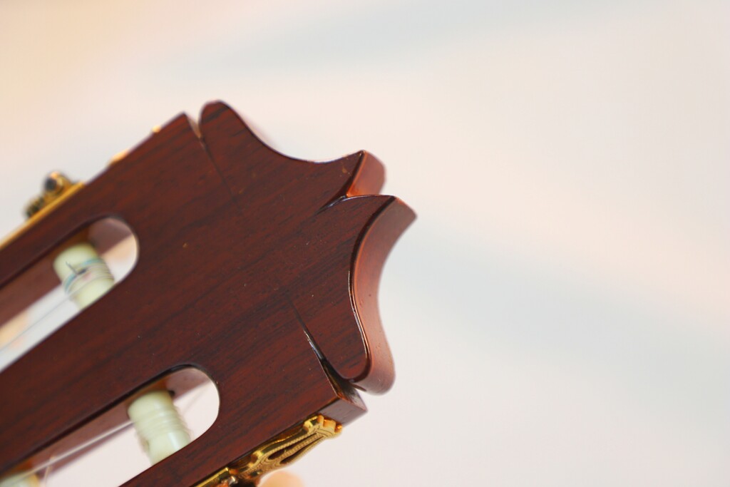 Luis Arostegui Granados 1976