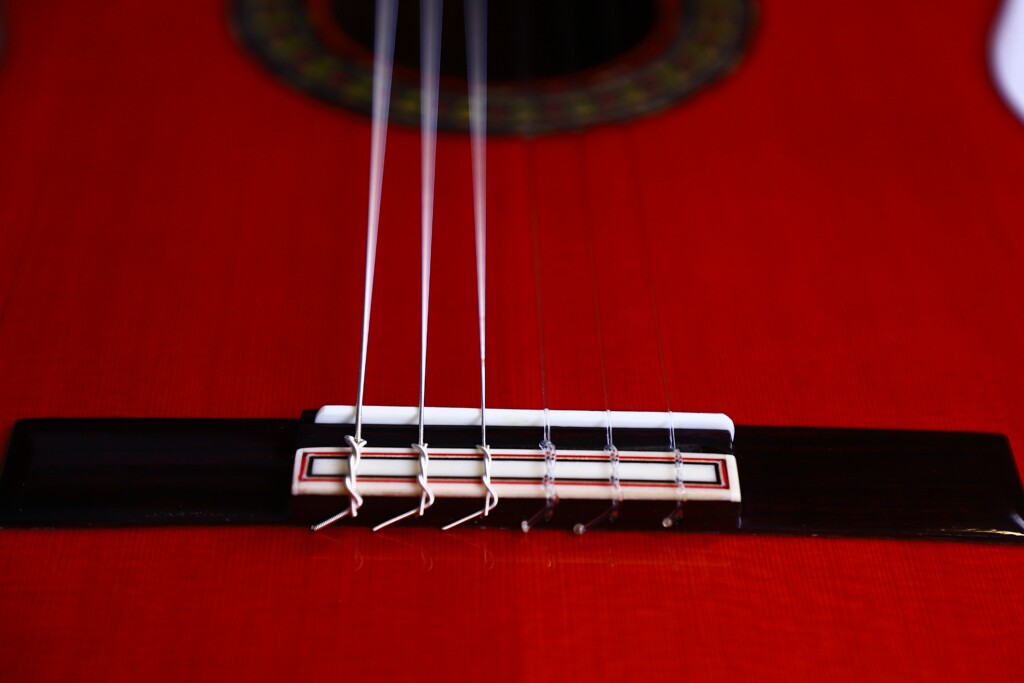 Hermanos Conde 1990 “Paco De Lucia Special”