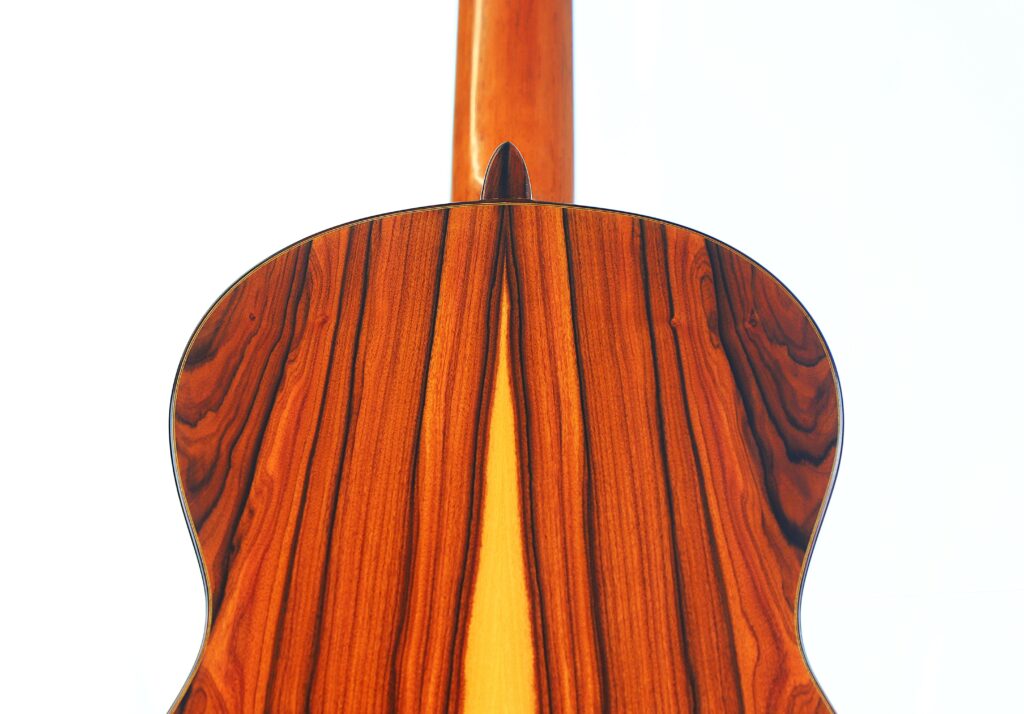 Jose Salinas 2019 Negra Flamenco Guitar