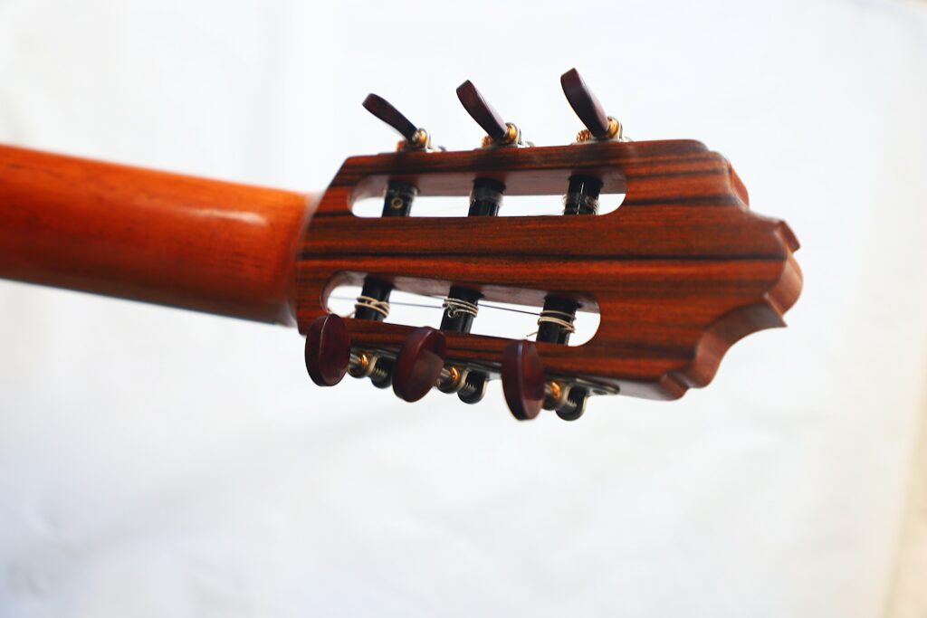 Jose Salinas 2019 Negra Flamenco Guitar