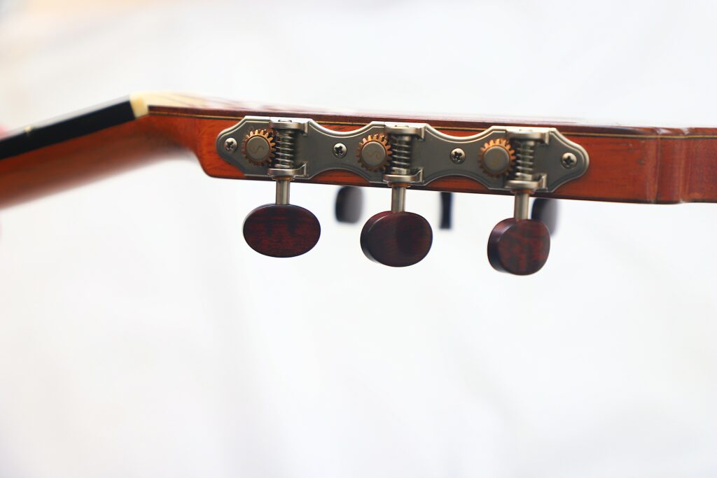 Jose Salinas 2019 Negra Flamenco Guitar