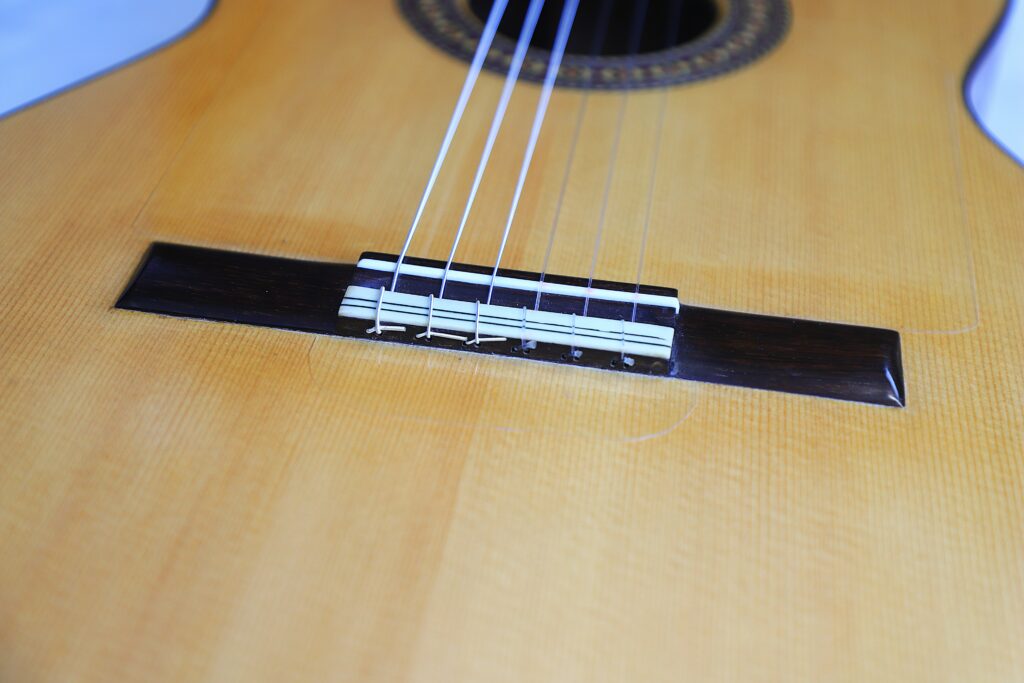 Jose Salinas 2019 Negra Flamenco Guitar