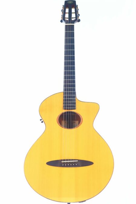 The Schertler SM Acoustic Guitar features a modern cutaway design, light wood finish, six strings, and dark bridge and fretboard, shown against a white background.