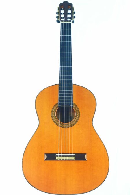 The Jose Salinas 2017 Flamenco Guitar features a light brown wooden body, dark fingerboard, six strings, and a decorative rosette around the sound hole, shown against a white background.