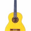 Die Conde Hermanos Felipe V N2 2010 Flamenco Gitarre hat einem hellen Holzkorpus, mit einem dunklen Griffbrett und sechs Saiten auf weißem Hintergrund. Die Conde Hermanos Felipe V N2 2010 Flamenco Gitarre hat einem hellen Holzkorpus, mit einem dunklen Griffbrett und sechs Saiten auf weißem Hintergrund.