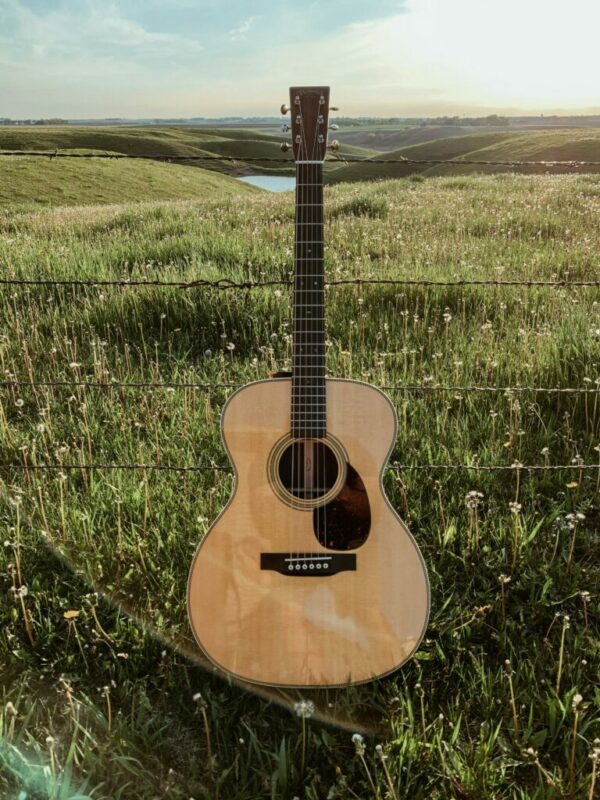 Guitar Tuning - An Acoustic Guitar Stands Upright In A Grassy Field With Dandelions, Sunlight, And Rolling Green Hills In The Background—Perfect For A Peaceful Guitar Tuning Session Outdoors.