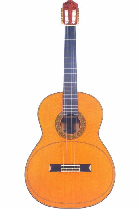 The Dieter Hopf Artista Membrane 2011 Classical Guitar features a wooden body, dark fretboard, six strings, and a decorative rosette around the soundhole, shown upright against a white background.