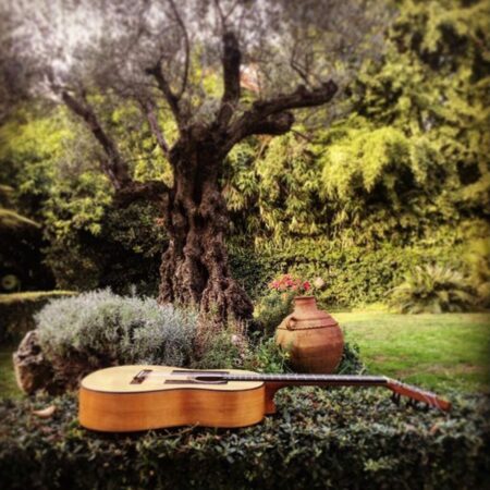 Eine Akustikgitarre Liegt Auf Einer Gestutzten Hecke In Einem Üppigen Garten. Im Hintergrund Stehen Ein Alter Olivenbaum Und Ein Großer Tontopf, Umgeben Von Grünzeug.
