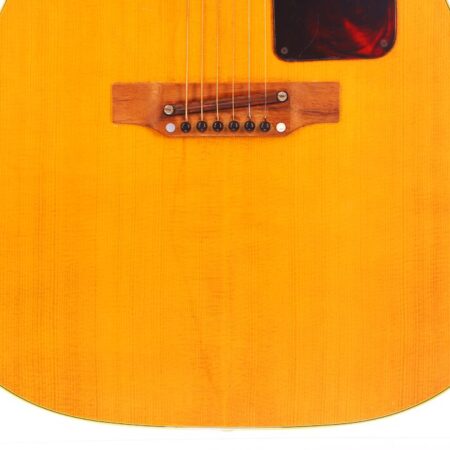 Epiphone Texan FT-79 1969 アコースティックギター - Vintage Guitar