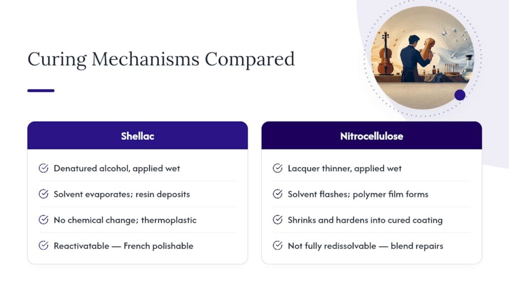 Shellac and nitro curing comparison